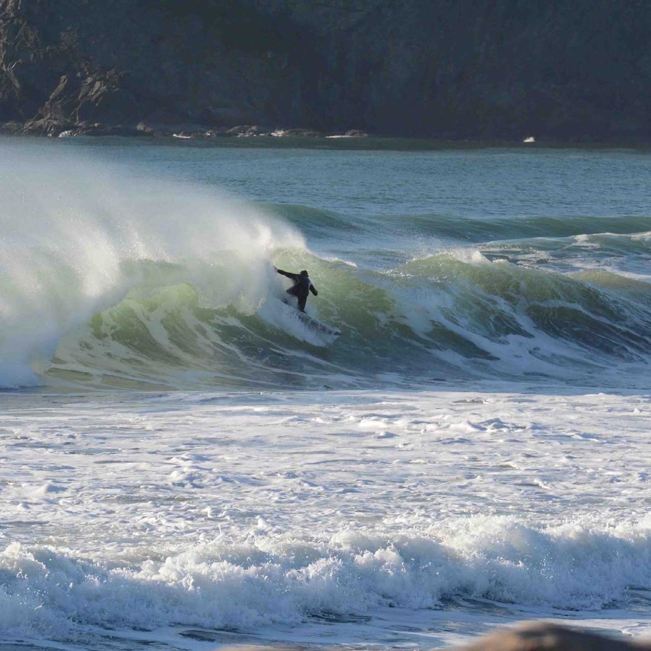Lib tech on sale bowl surfboard