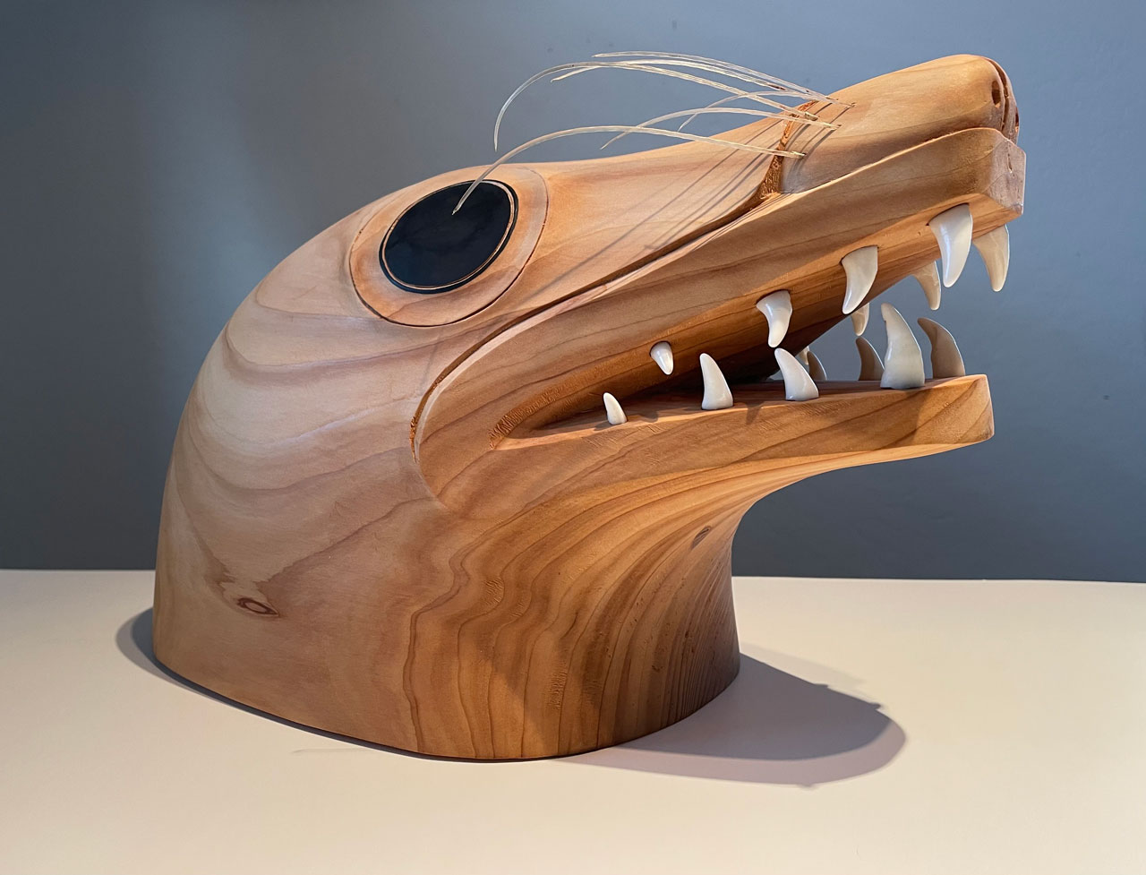 Tlingit Sea Lion Helmet carved from red cedar, wolf teeth, and seal whiskers.