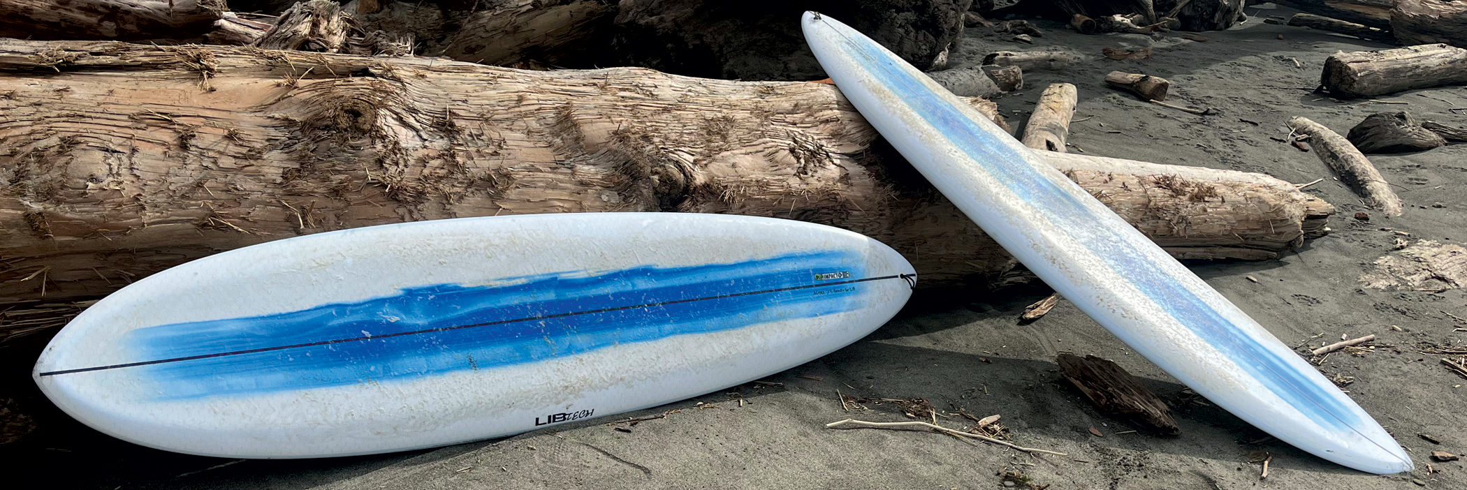 Lib Tech Surf Terrapin Surfboard by Alex Lopez